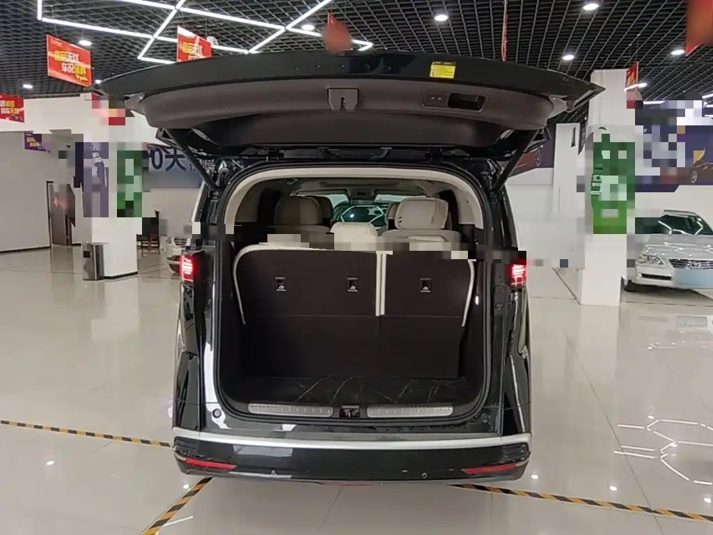Denza Denza D9 — миниатюра 19
