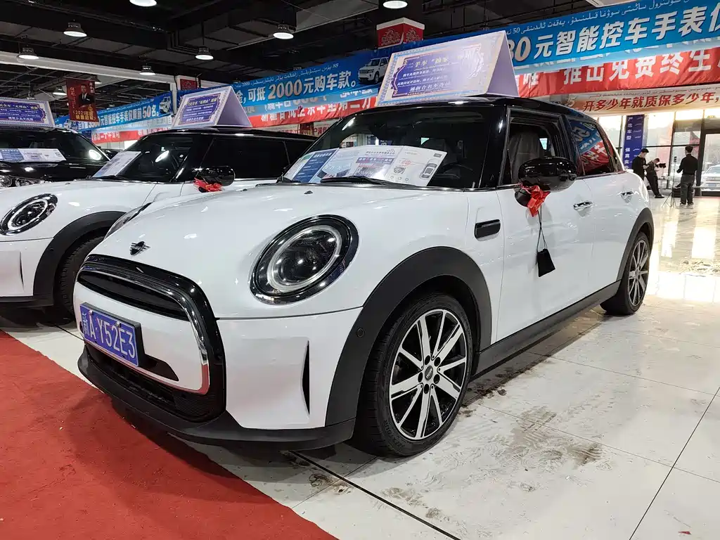 Mini Mini 2022