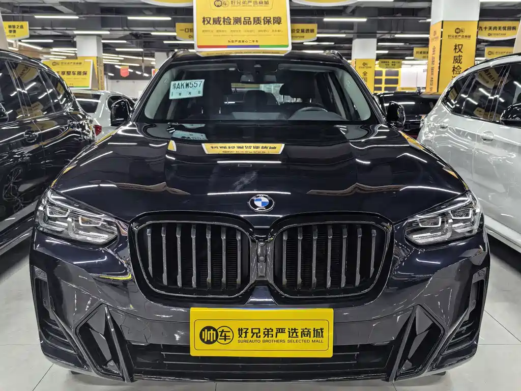 BMW X3 — миниатюра 2