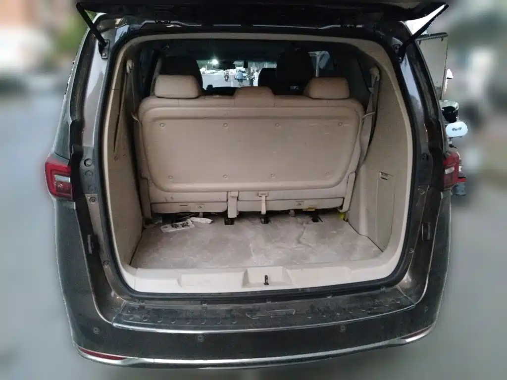 Buick GL8 — миниатюра 15