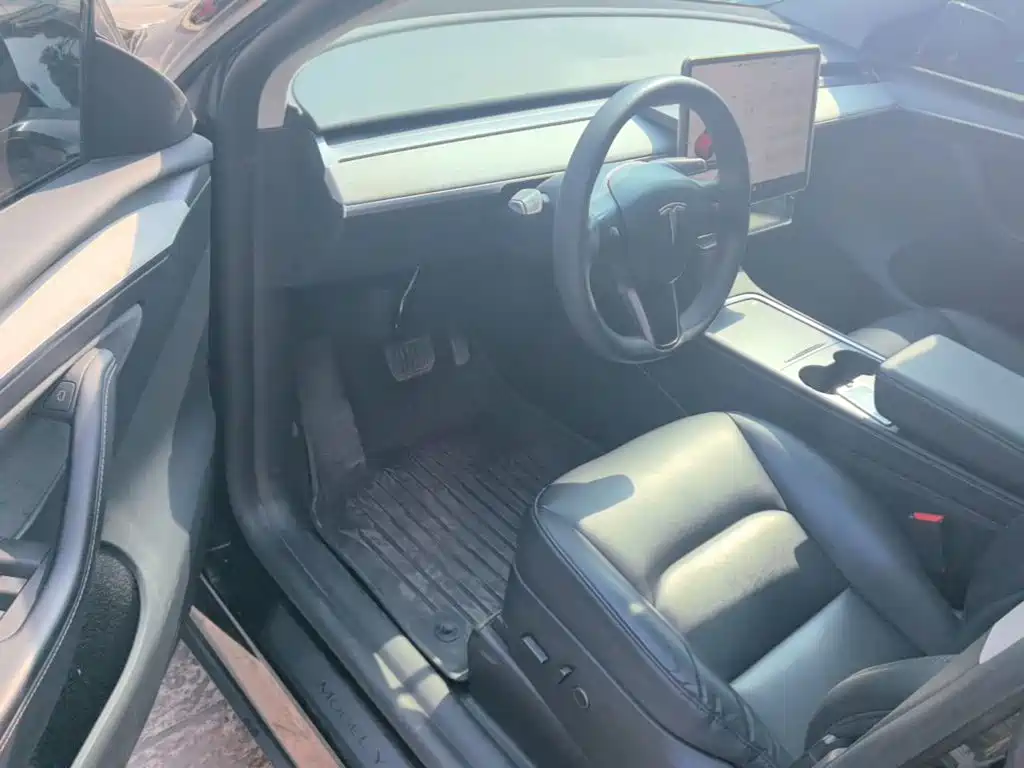 Tesla Model Y — миниатюра 16