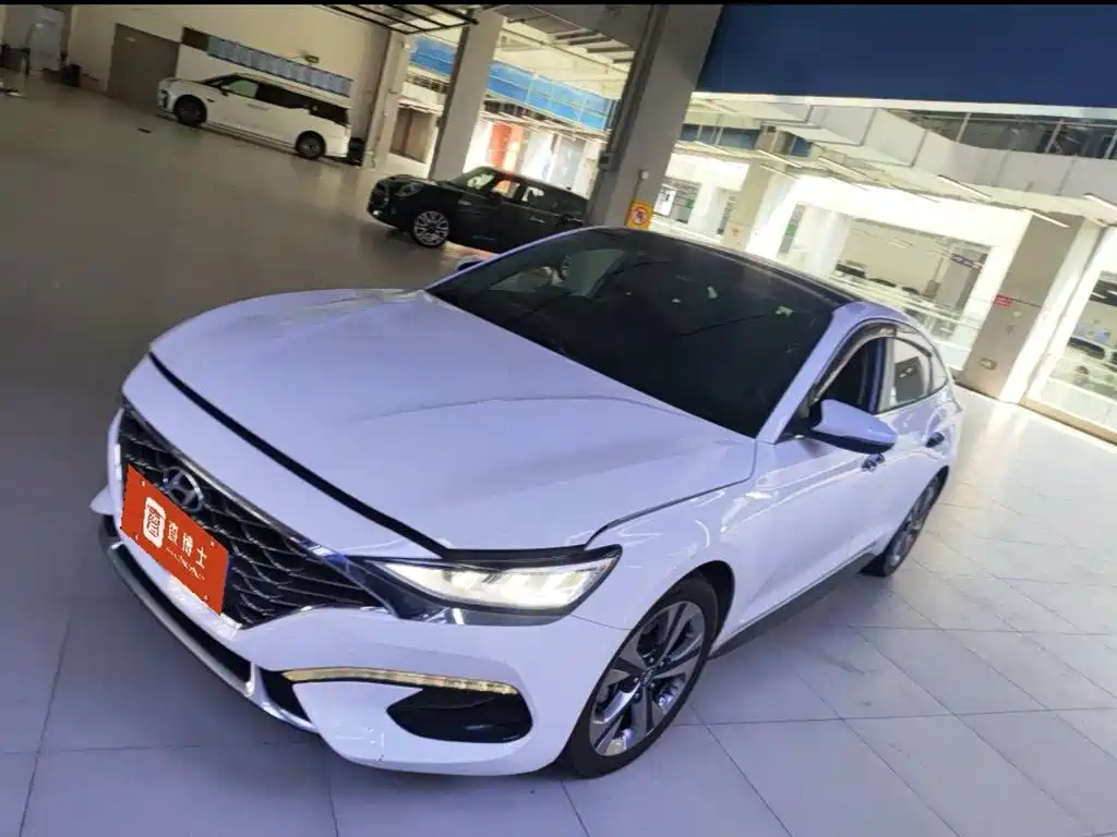 Hyundai Fista — миниатюра 6