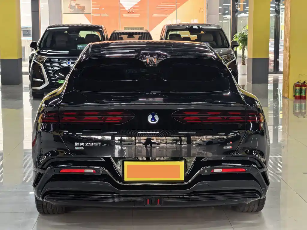 Denza Denza Z9GT — миниатюра 16