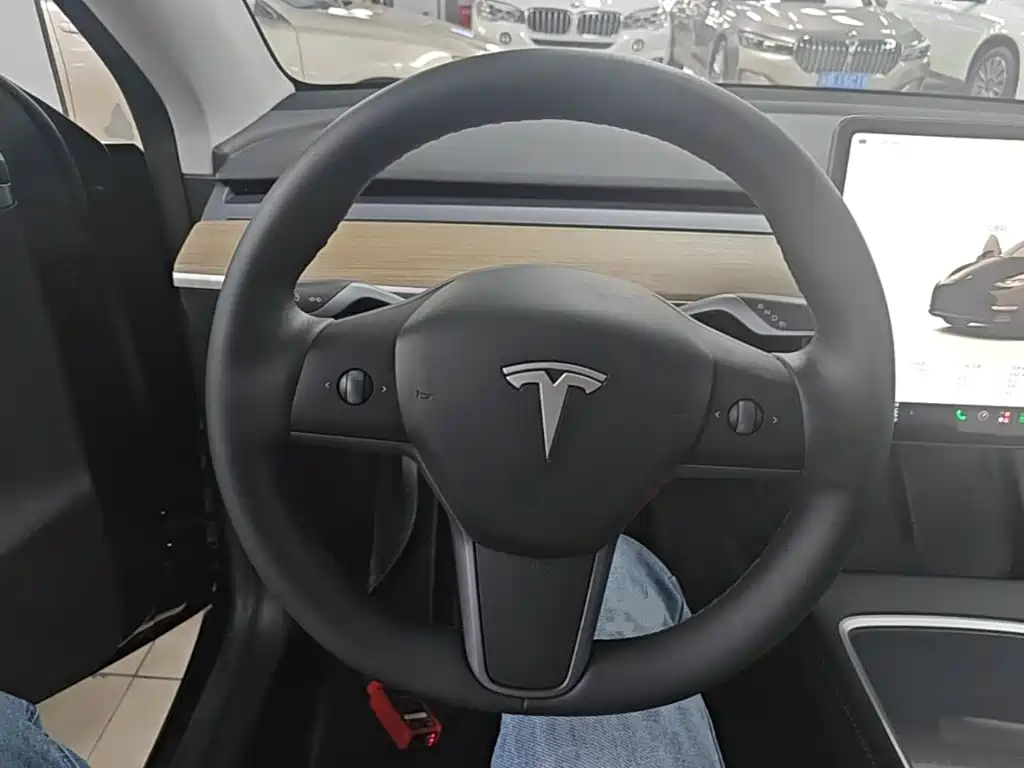 Tesla Model Y — миниатюра 11