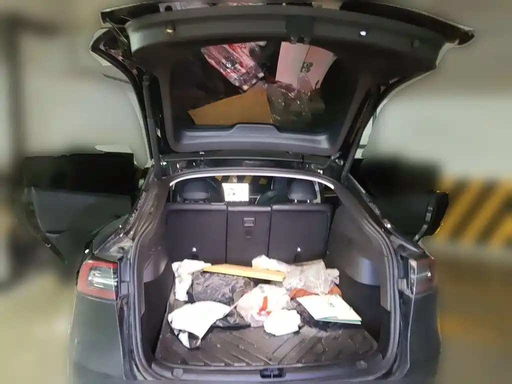 Tesla Model Y — миниатюра 10