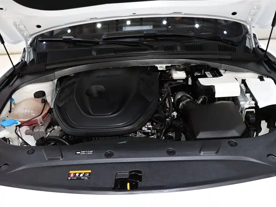 Geely Xingrui Oriental Brilliance 2.0TD Moon Gaze Edition, фото 20