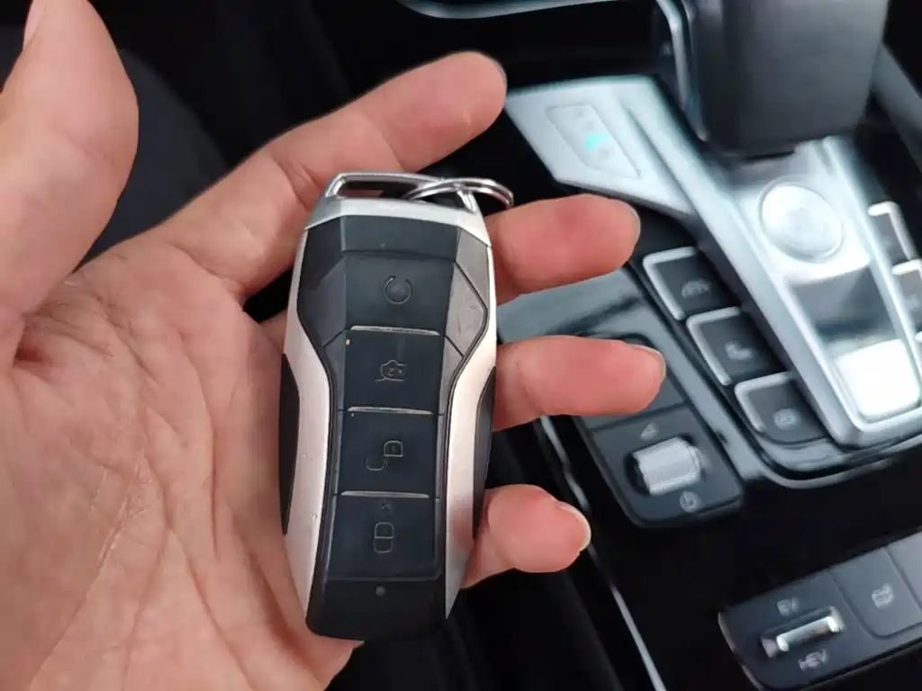 BYD Pro New Energy — миниатюра 12