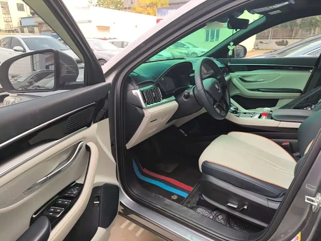 BYD PLUS New Energy — миниатюра 16