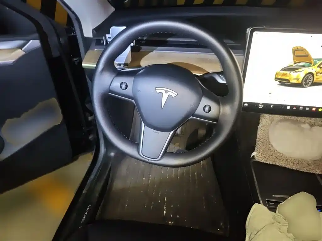 Tesla Model Y — миниатюра 3