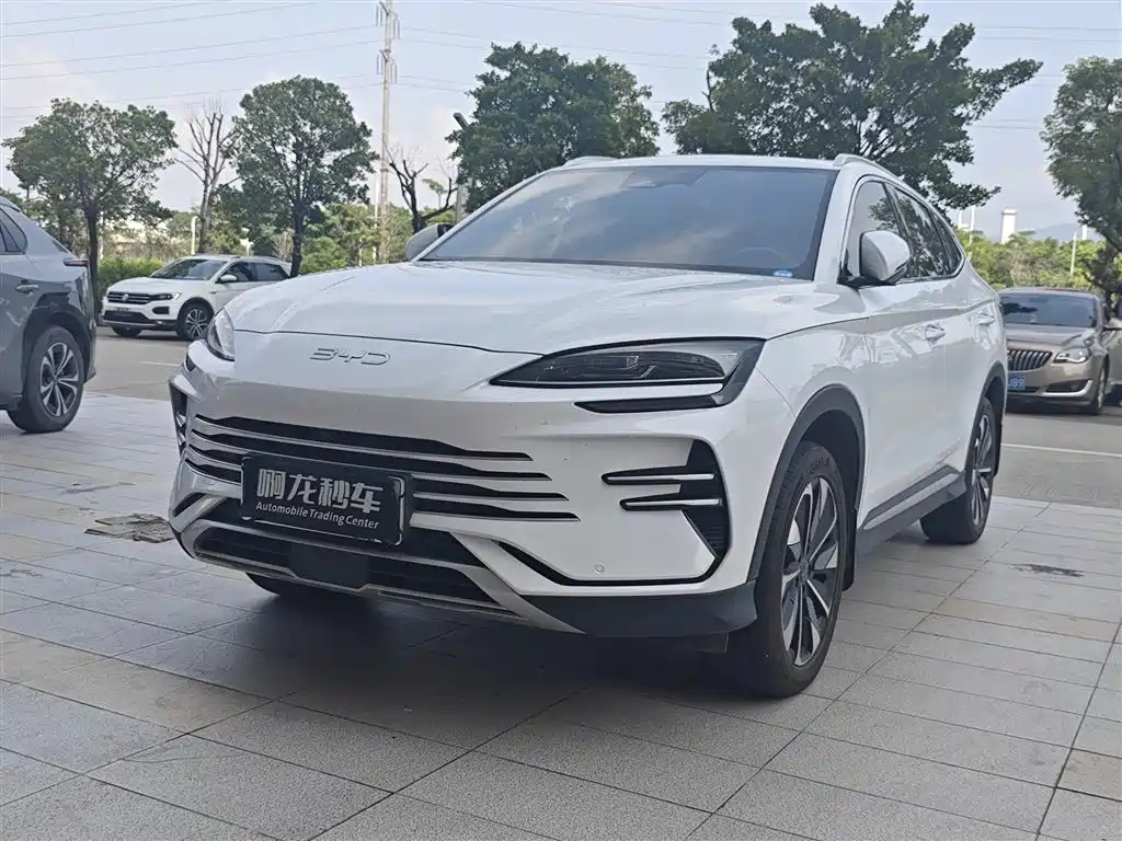BYD PLUS New Energy