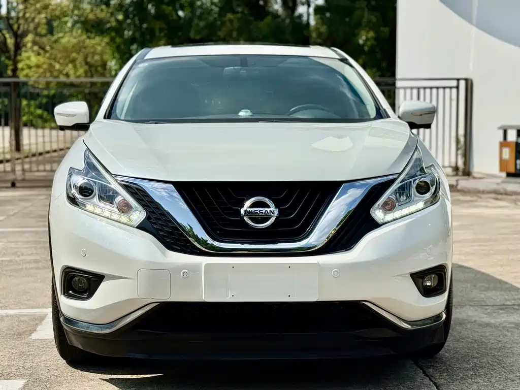 Nissan Murano 2019 2.5L XL Luxury VI