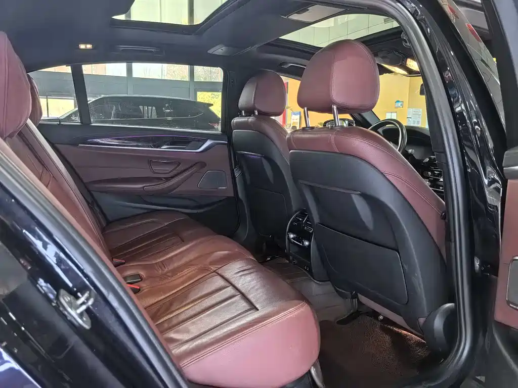BMW 5 Series 5 2020 530Li Premium M Sport