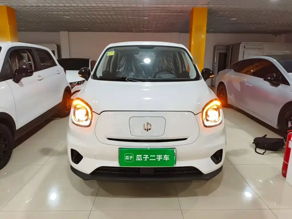 Leapmotor T03 2025 310