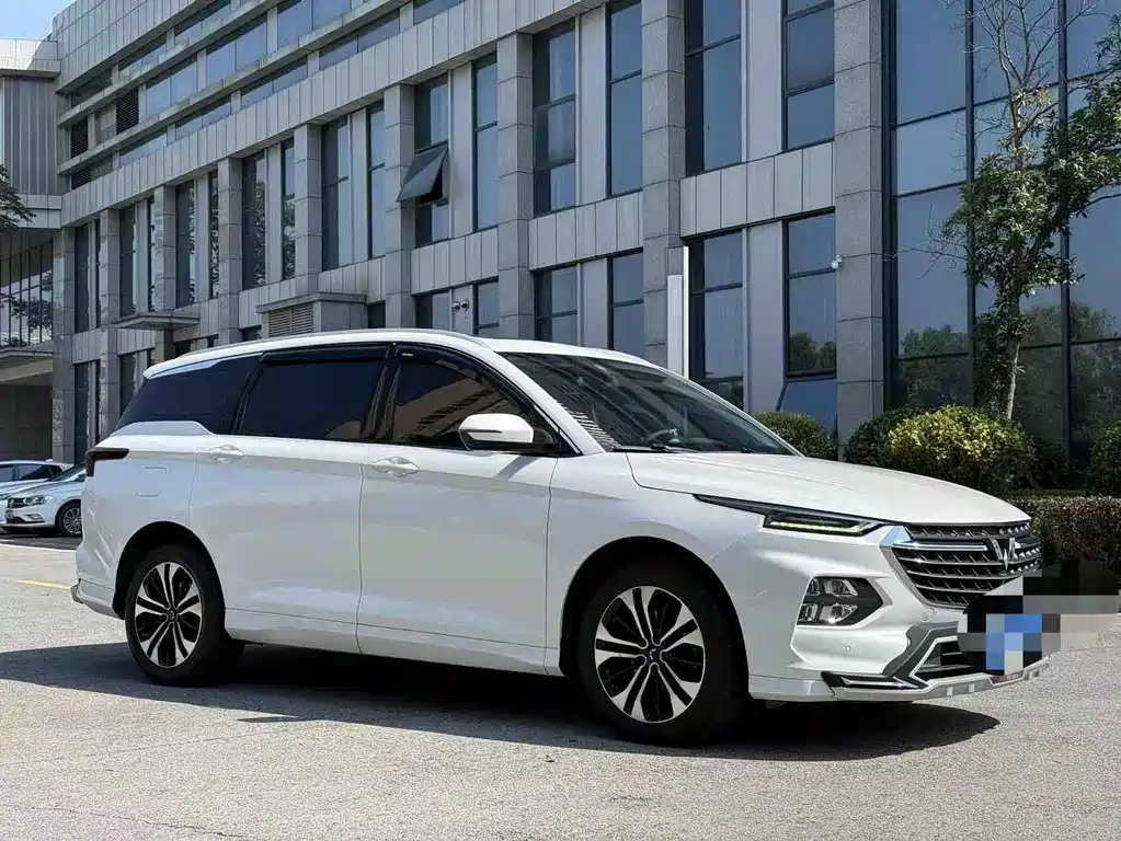 Wuling Victory — миниатюра 3
