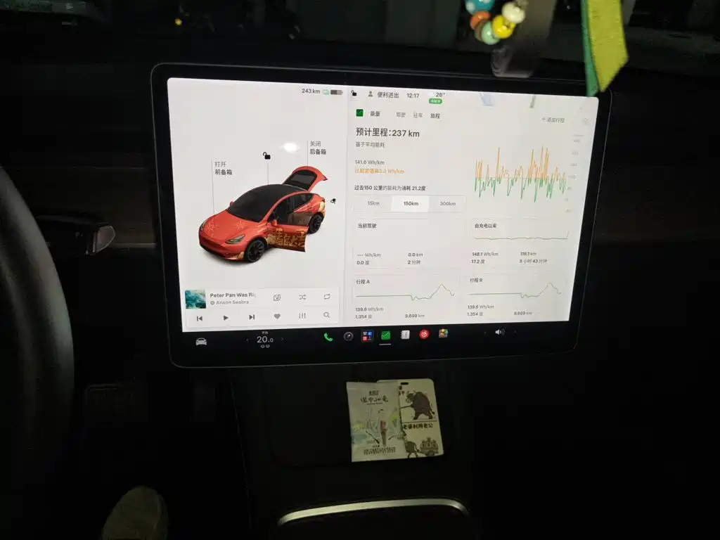 Tesla Model Y — миниатюра 7
