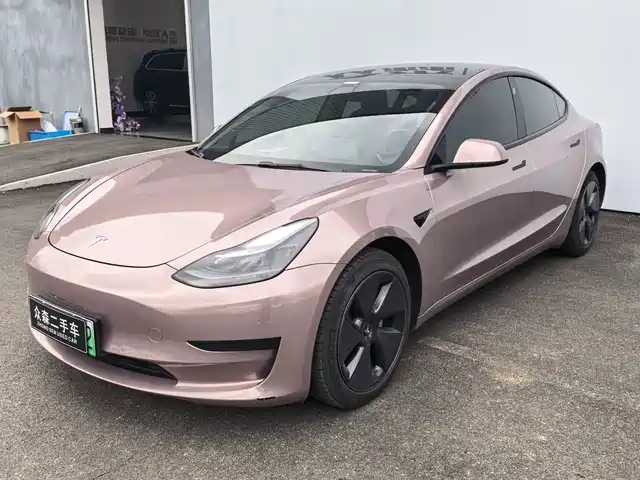 TESLA MODEL 3 2021