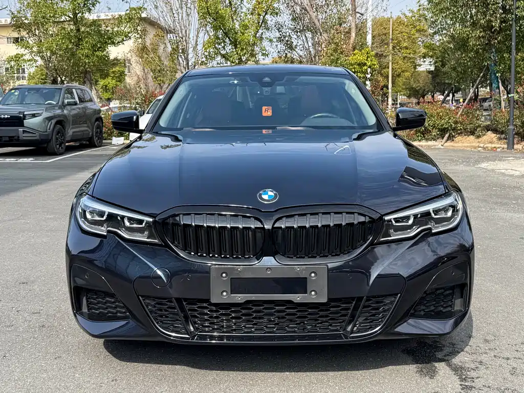 BMW 3 Series — миниатюра 2