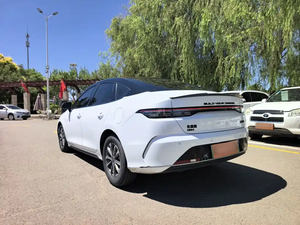 BYD Destroyer 05 2024 DM-i 55KM Luxury