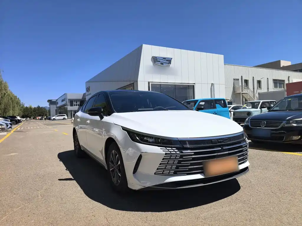 BYD Destroyer 05 2024 DM-i 55KM Luxury