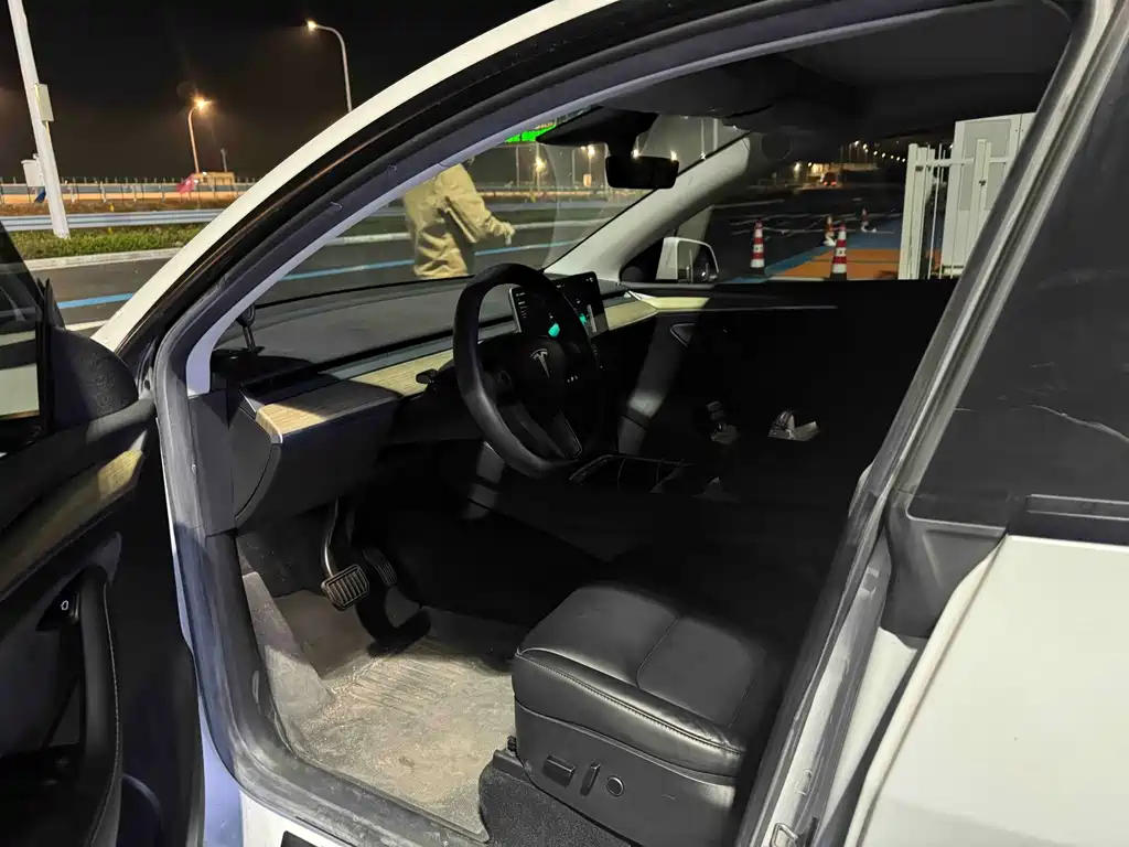 Tesla Model Y — миниатюра 5