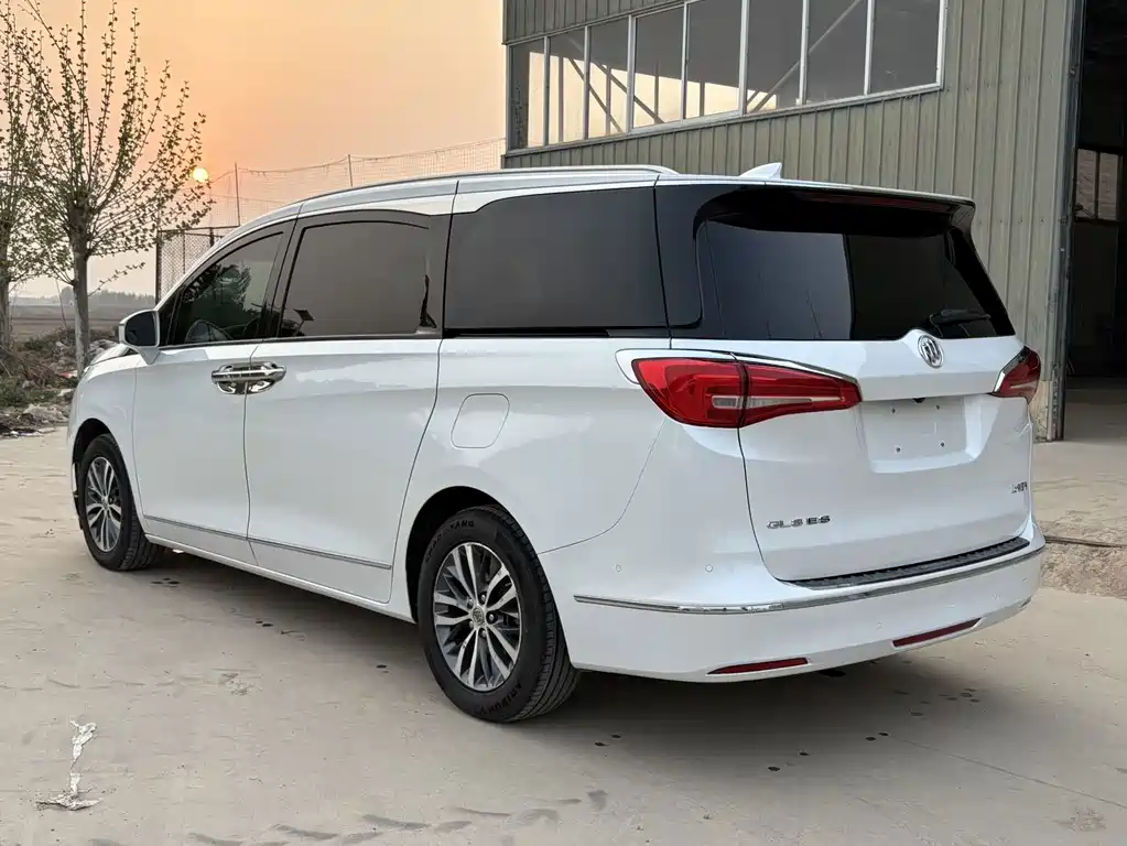 Buick GL8 — миниатюра 4