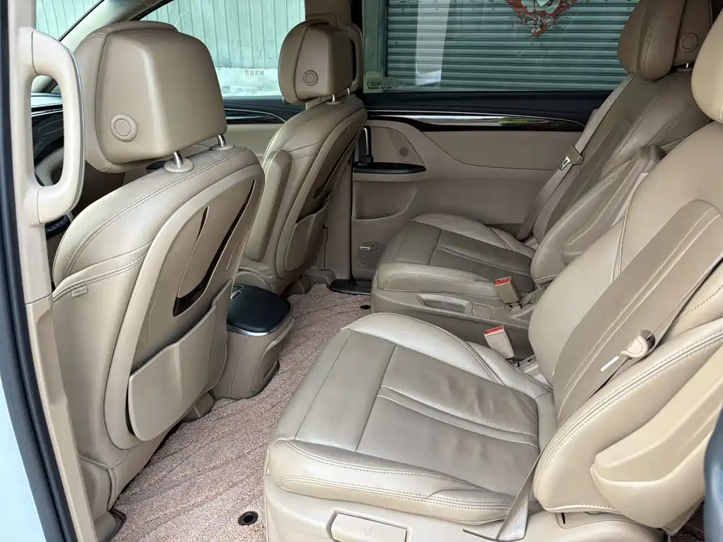 Buick GL8 — миниатюра 18