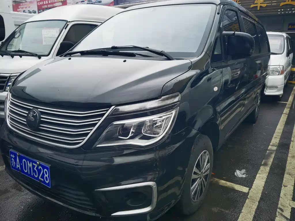 Купить Fengxing Lingzhi