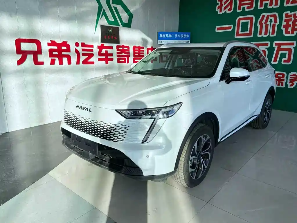 HAVAL XIAOLONG MAX