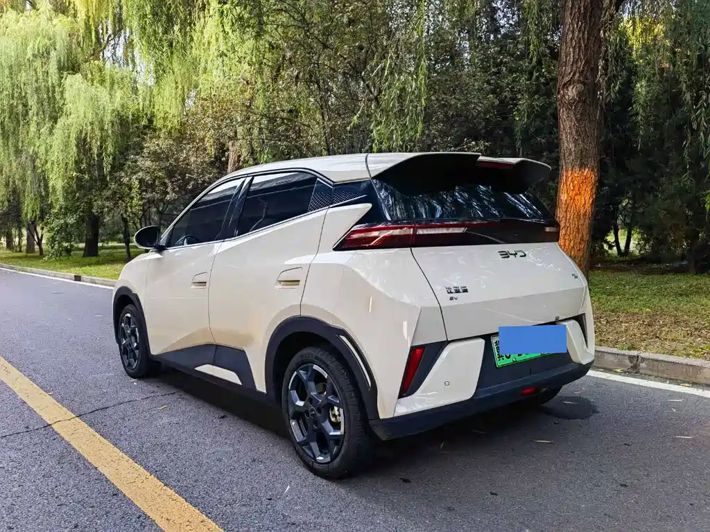 BYD Seagull — миниатюра 5
