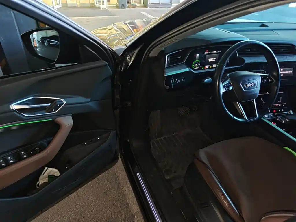 Audi e-tron (Import) — миниатюра 16