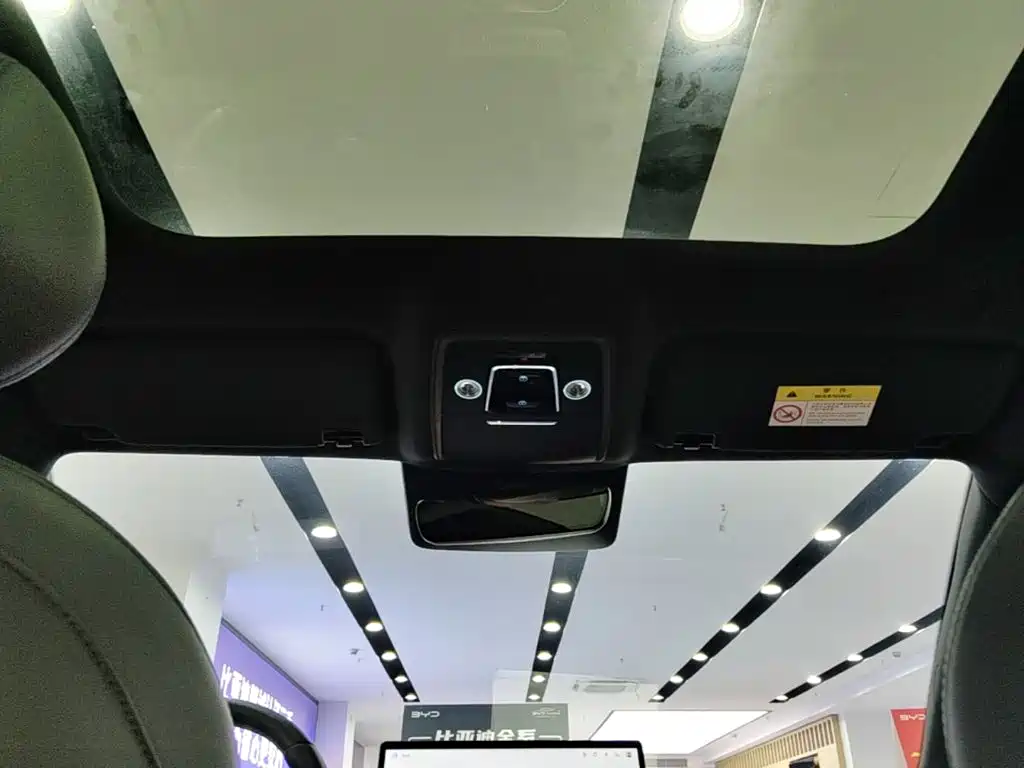 BYD Sealion 06 — миниатюра 18