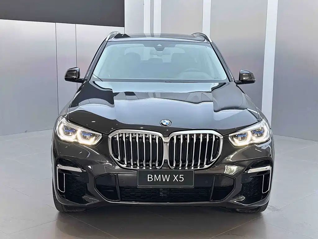 BMW X5 — миниатюра 2