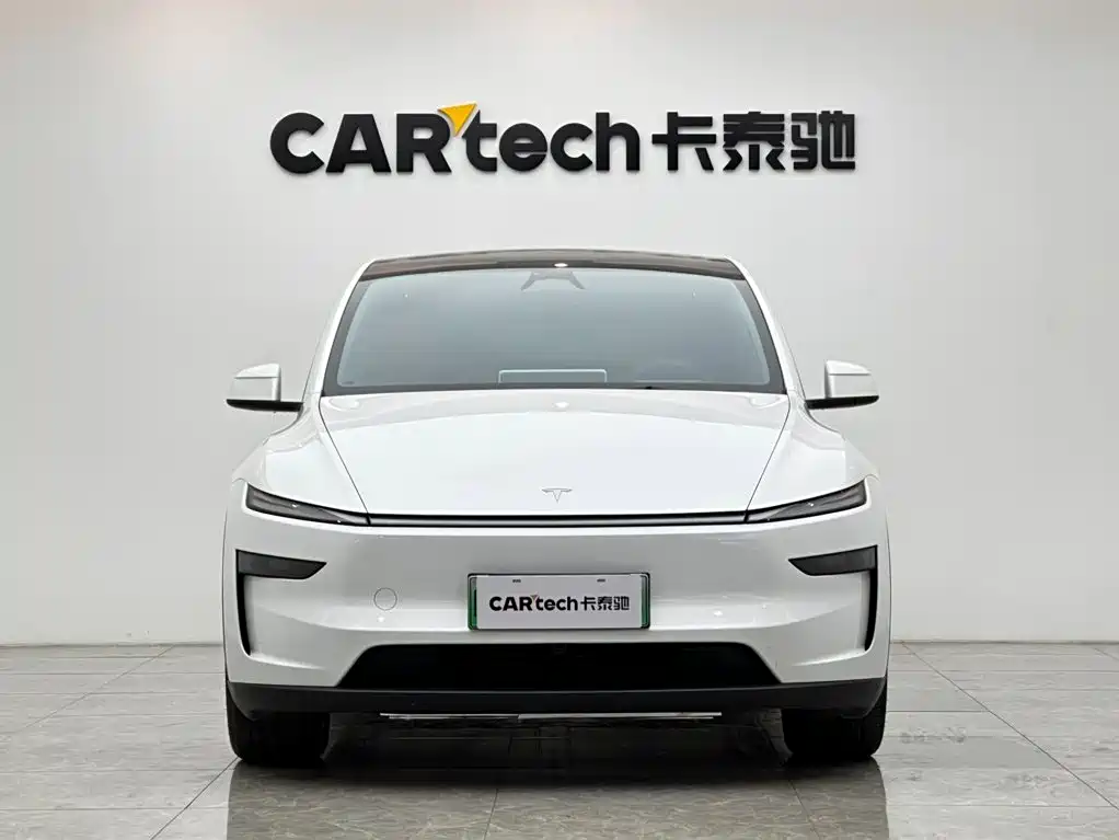 Tesla Model Y — миниатюра 7