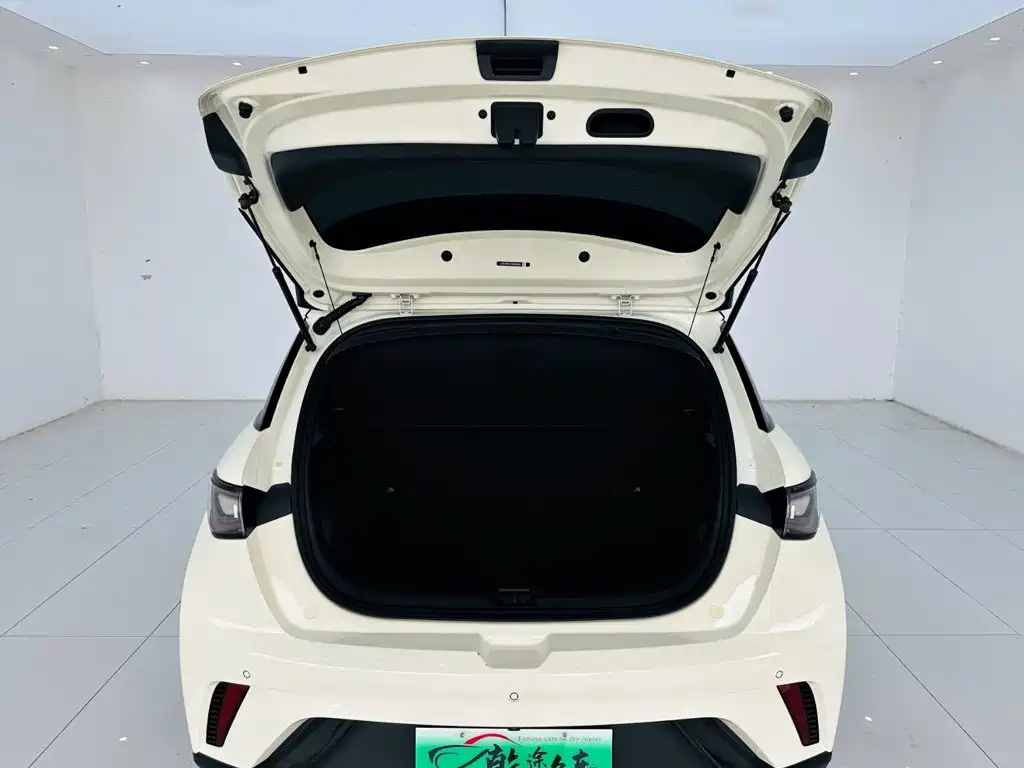 BYD Dolphin — миниатюра 23