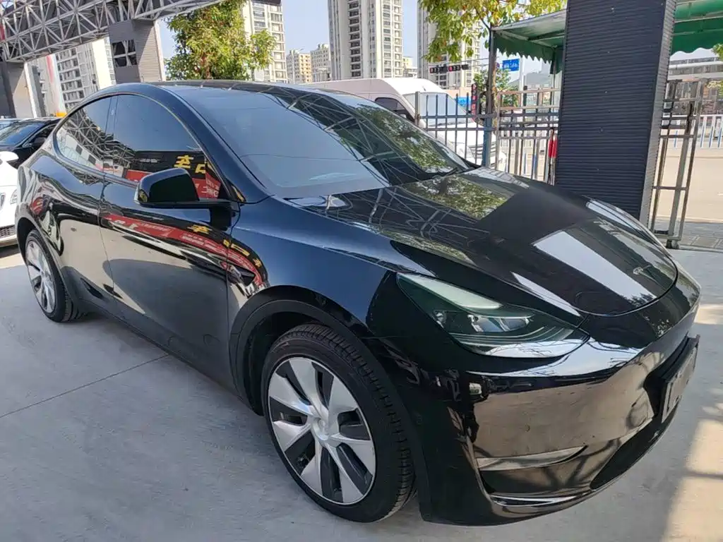 Tesla Model Y — миниатюра 4