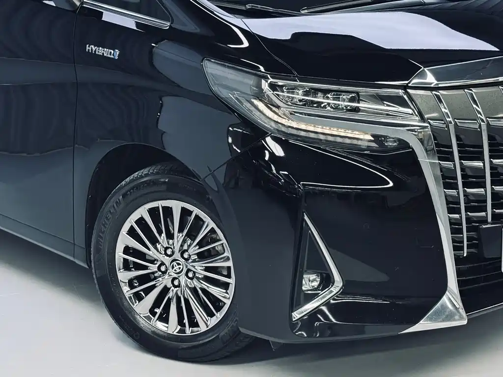 Toyota Alphard — миниатюра 23