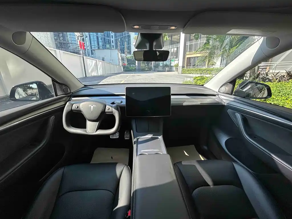Tesla Model Y — миниатюра 13