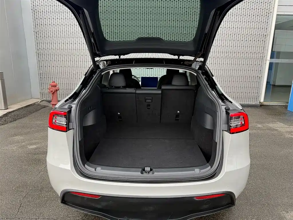 Tesla Model Y — миниатюра 6