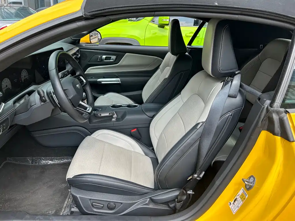 Ford Mustang — миниатюра 10