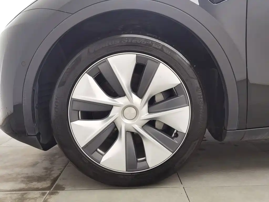 Tesla Model Y — миниатюра 17