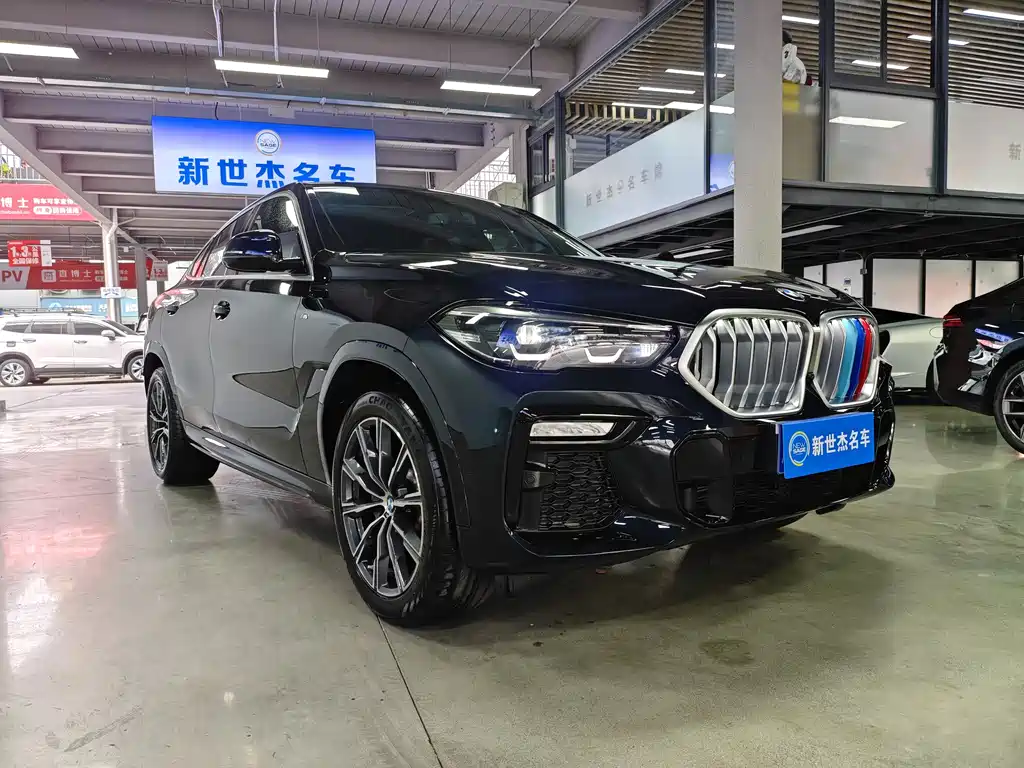 BMW X6 2021 xDrive30i M Sport