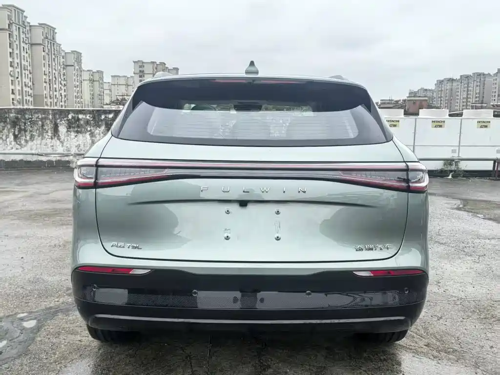 Fulwin Fengyun T9L — миниатюра 6
