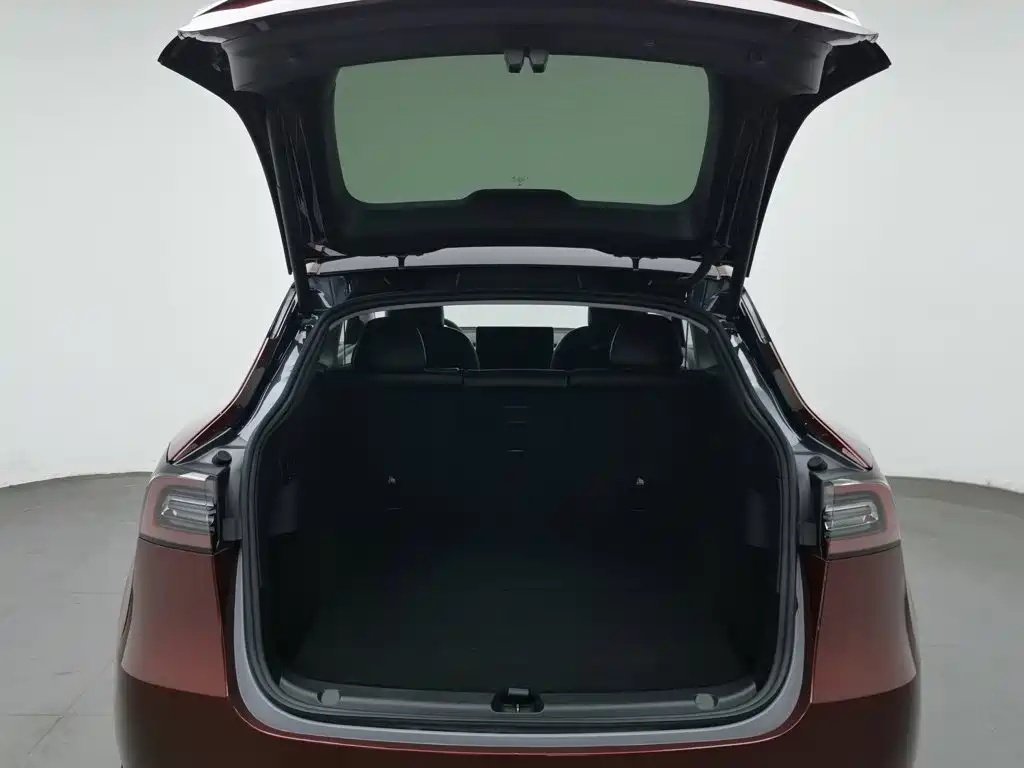 Tesla Model Y — миниатюра 16