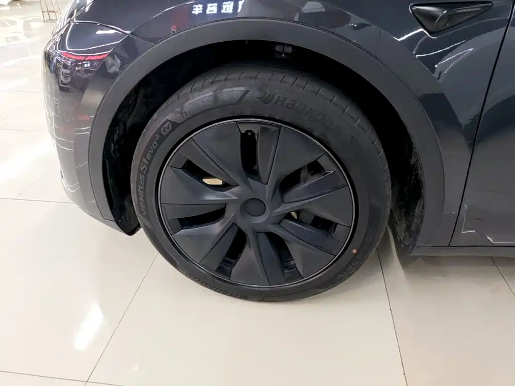 Tesla Model Y — миниатюра 23