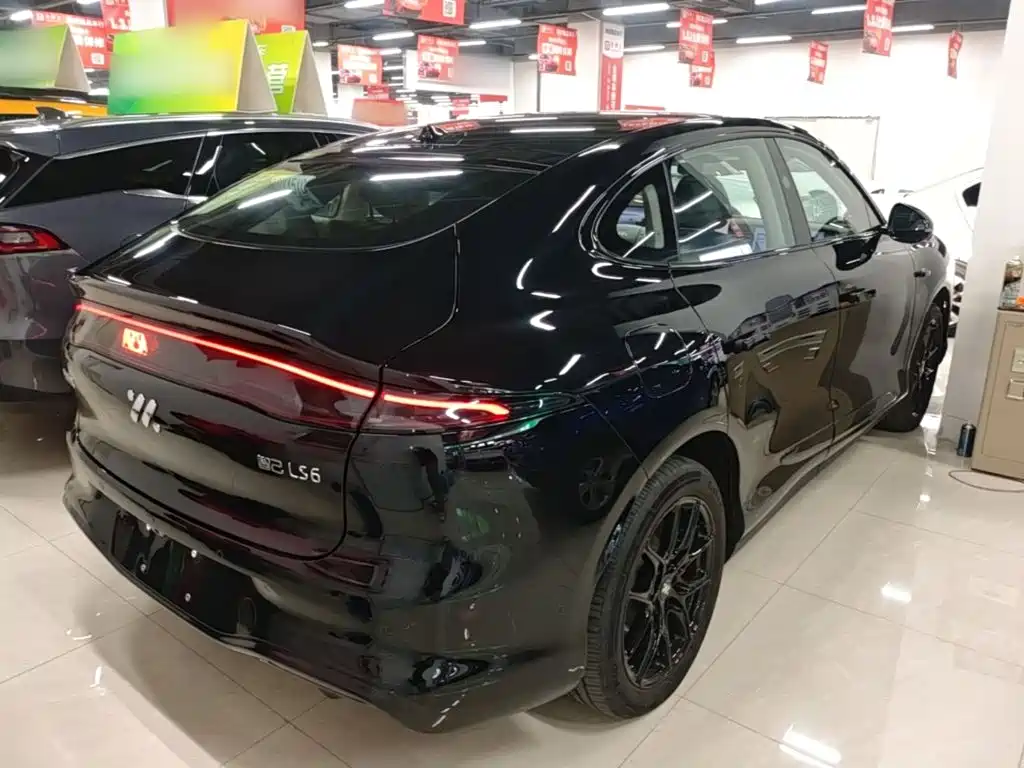 IM IM LS6 — миниатюра 7