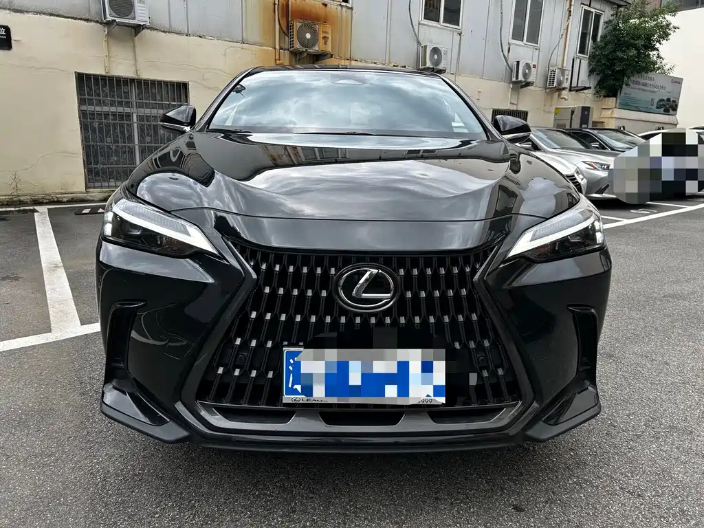 Lexus NX — миниатюра 2