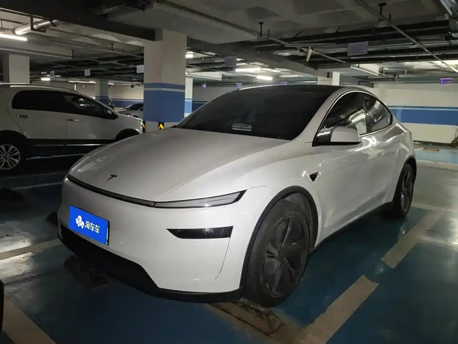 Tesla Model Y — миниатюра 2