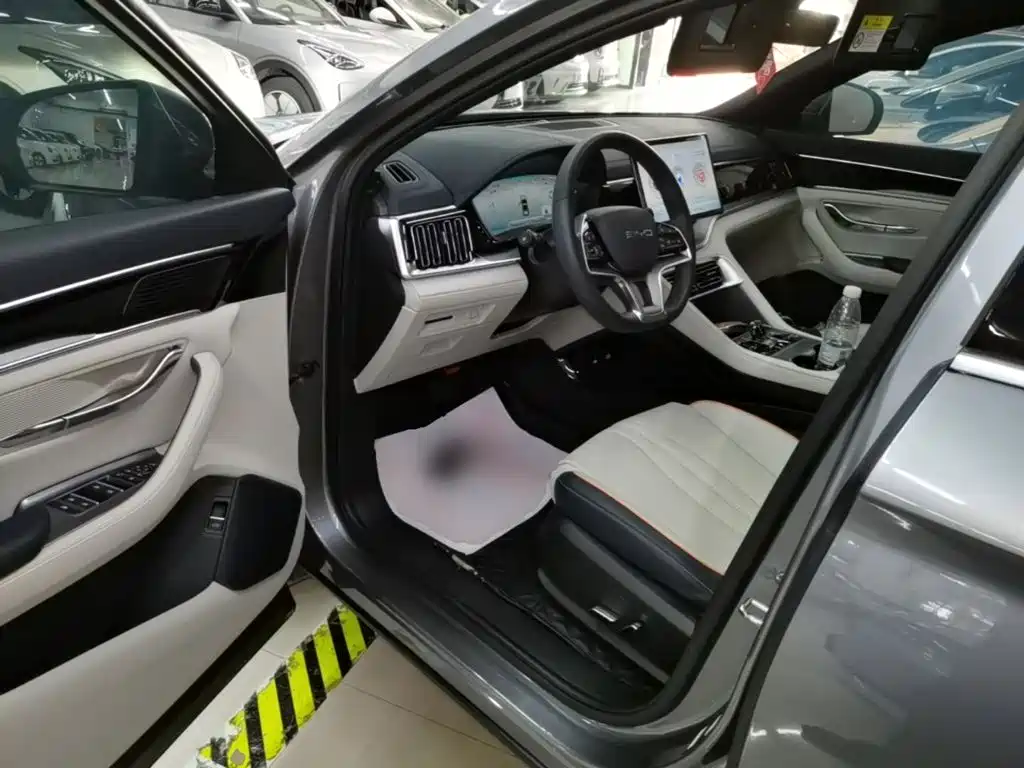 BYD PLUS New Energy — миниатюра 16