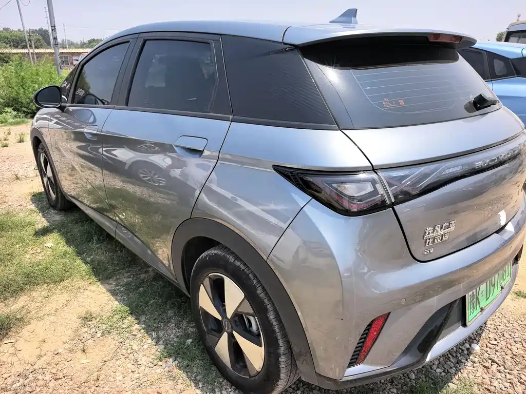 BYD Dolphin 2024 420km Freedom