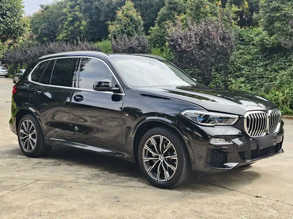 BMW X5 (Import) — миниатюра 8